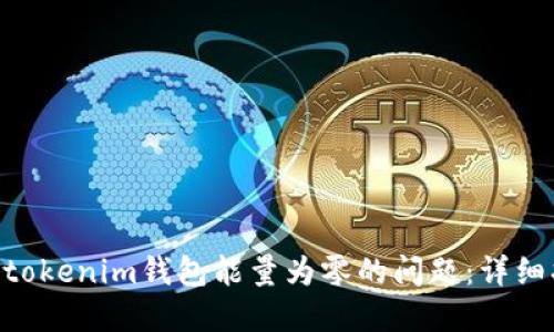 如何解决Tokentokenim钱包能量为零的问题：详细指南与最佳实践