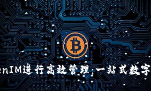 如何使用TokenIM进行高效管理：一站式数字资产解决方案