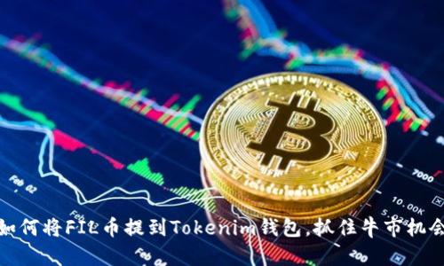 如何将FIL币提到Tokenim钱包，抓住牛市机会