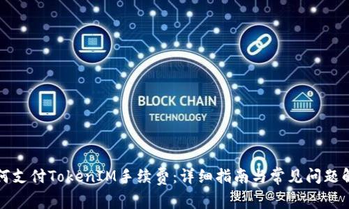 如何支付TokenIM手续费：详细指南与常见问题解答