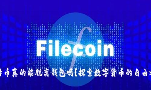 比特币真的能脱离钱包吗？探索数字货币的自由之旅