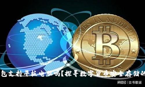 Ledger钱包支持平板电脑吗？探寻数字货币安全存储的最佳选择