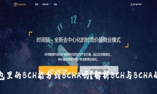 在钱包里的BCH能分到BCHA吗？解析BCH与BCHA的关系