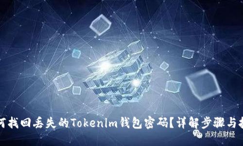 如何找回丢失的Tokenim钱包密码？详解步骤与技巧