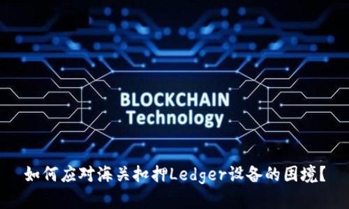 如何应对海关扣押Ledger设备的困境？