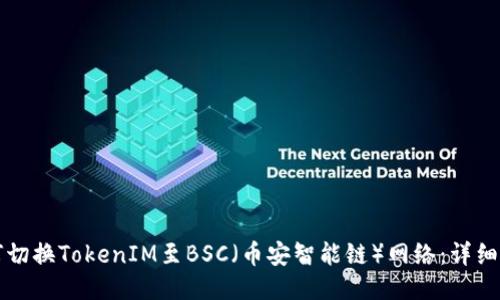 如何切换TokenIM至BSC（币安智能链）网络：详细指南