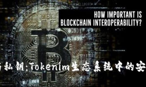 公链与私钥：Tokenim生态系统中的安全探索