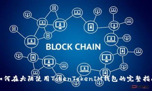 如何在大陆使用TokenTokenIM钱包的完整指南