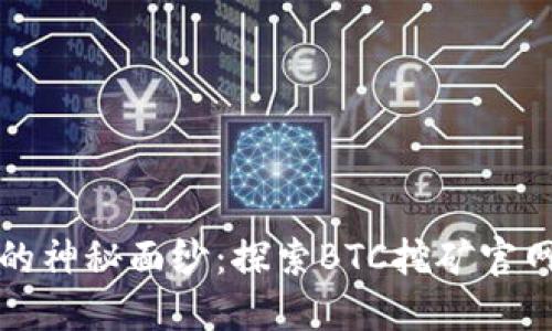 揭开中本聪的神秘面纱：探索BTC挖矿官网的全新世界