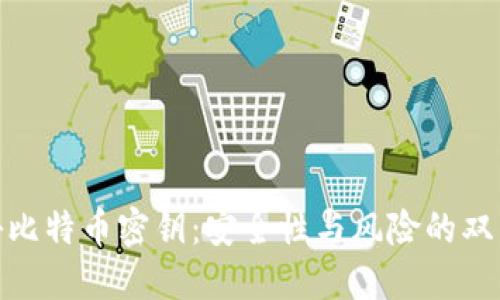 揭秘比特币密钥：安全性与风险的双面镜