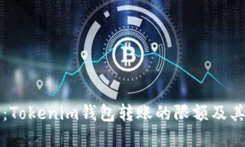 深入解读：Tokenim钱包转账的限额及其影响因素