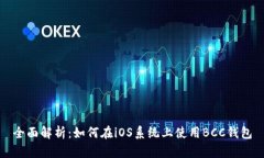 全面解析：如何在iOS系统上使用BCC钱包