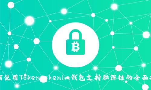如何使用Tokentokenim钱包支持脑深链的全面指南