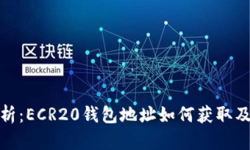 : 详细解析：ECR20钱包地址如何获取及使用技巧