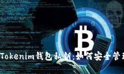 深入解析Tokenim钱包私钥：如何安全管理与保护？