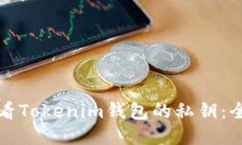 如何查看Tokenim钱包的私钥：全面指南