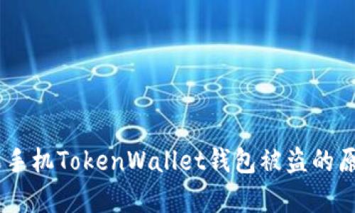 全面分析：苹果手机TokenWallet钱包被盗的原因与防范措施