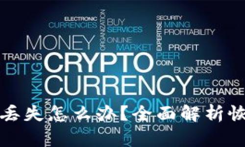 助记词丢失怎么办？全面解析恢复方案