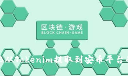 如何将BNB从Tokenim提取到安币平台的详细指南