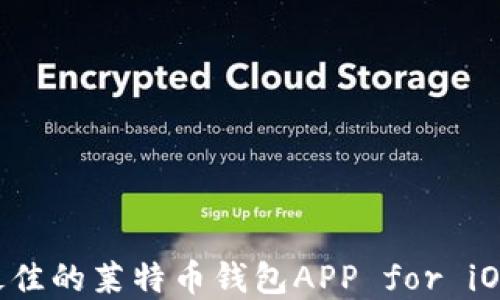 
如何选择最佳的莱特币钱包APP for iOS：全面指南