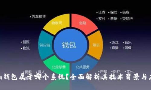 Tokenim钱包属于哪个系统？全面解析其技术背景与应用场景