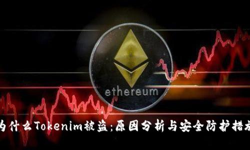 为什么Tokenim被盗：原因分析与安全防护措施