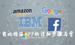 安卓手机下载比特派APP的详细步骤与常见问题解