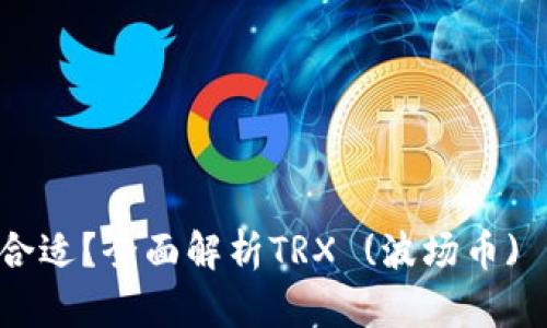 TRX是什么钱包最合适？全面解析TRX (波场币) 钱包的选择与使用