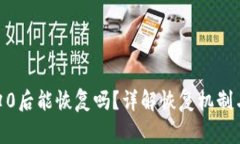 TokenIM归0后能恢复吗？详解恢复机制与常见问题