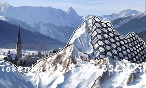 如何在Tokenim钱包中添加BSC链：详尽指南